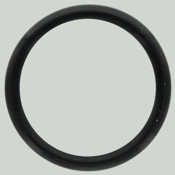 O-Ring 43,82mm
