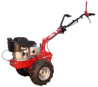 Eurosystems Mehrzweckgerät P55evo -M220  Honda