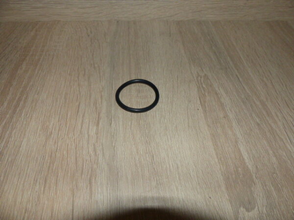 O-Ring Handpumpe TB504