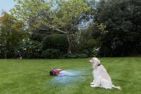 Segway Navimow H210E