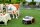 Segway Navimow i210E AWD