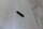Spannstift
