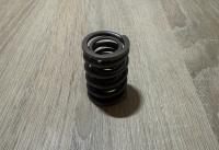 Ventilfedern f. Motor ZN390T