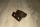 Halter Wendeschaltung TE254
